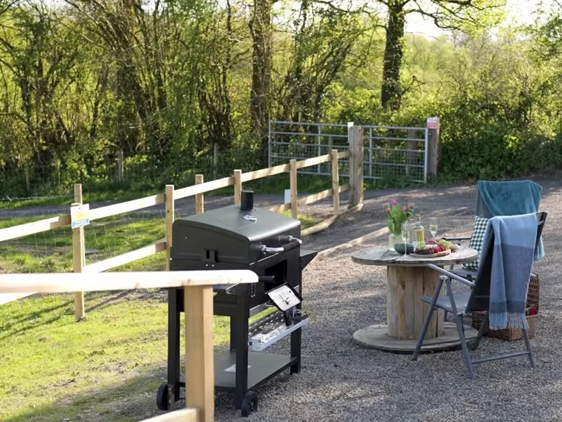 Outdoor dining and barbecue area at Brynhyfryd Farm shepherd's hut